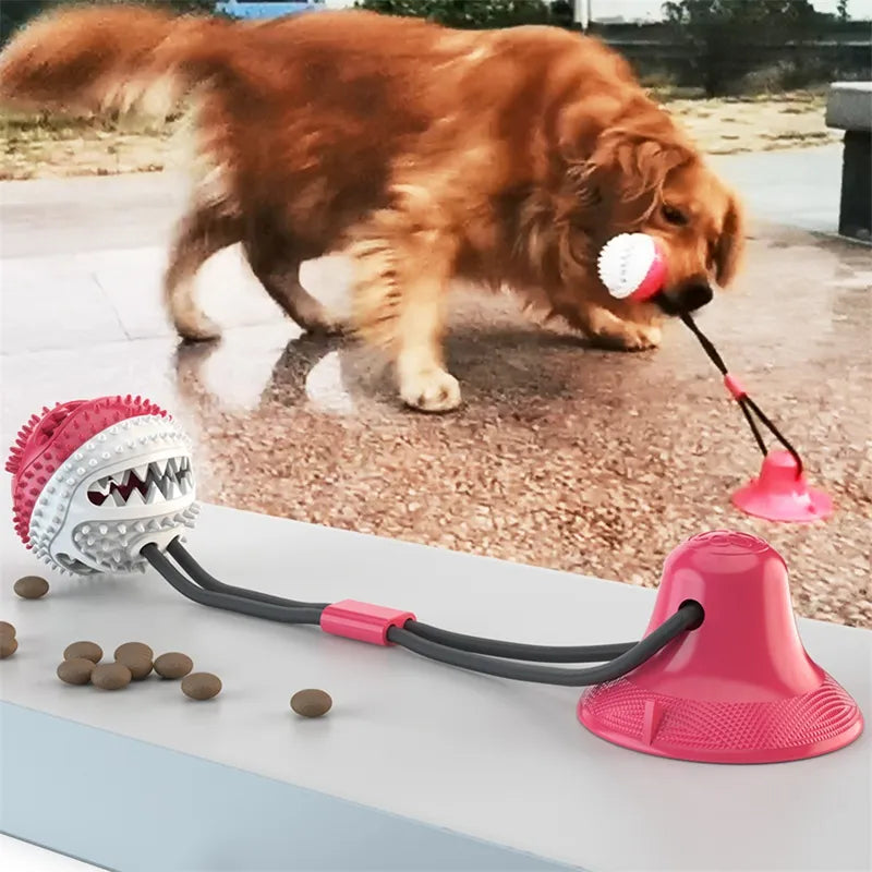 Suction Ball Interactive Dog Toy - King & Paws