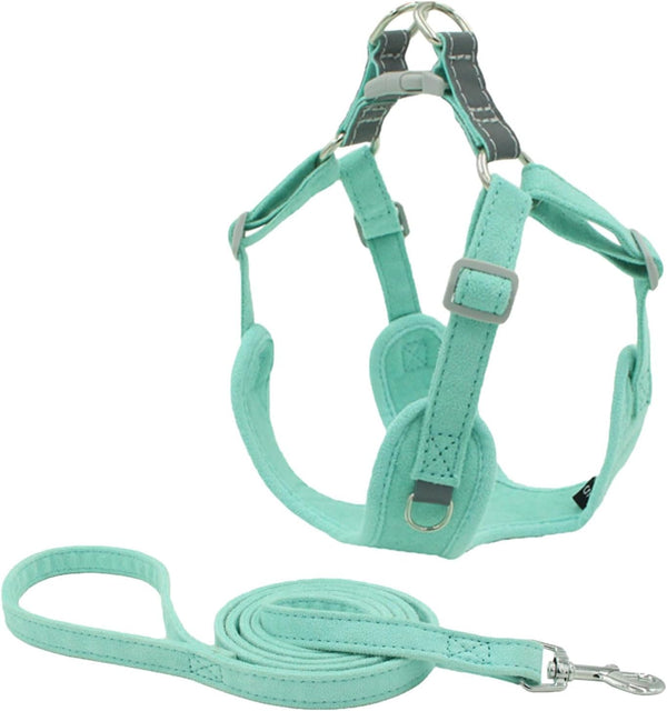 Harnais pour animaux de compagnie d