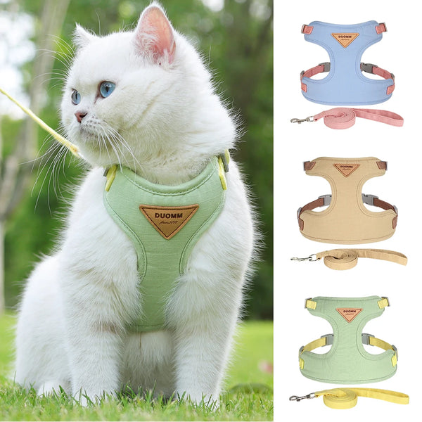 Ensemble de harnais de compagnie de animaux de compagnie confortable