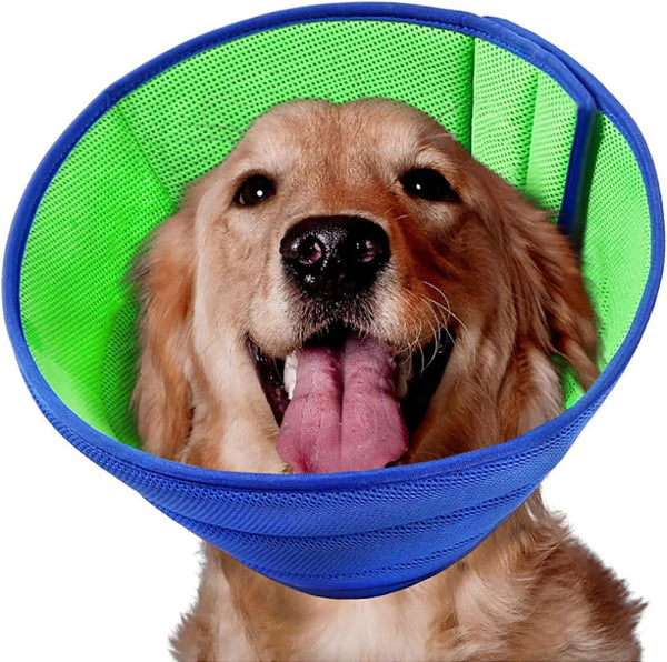 Cône de récupération de chien confortable