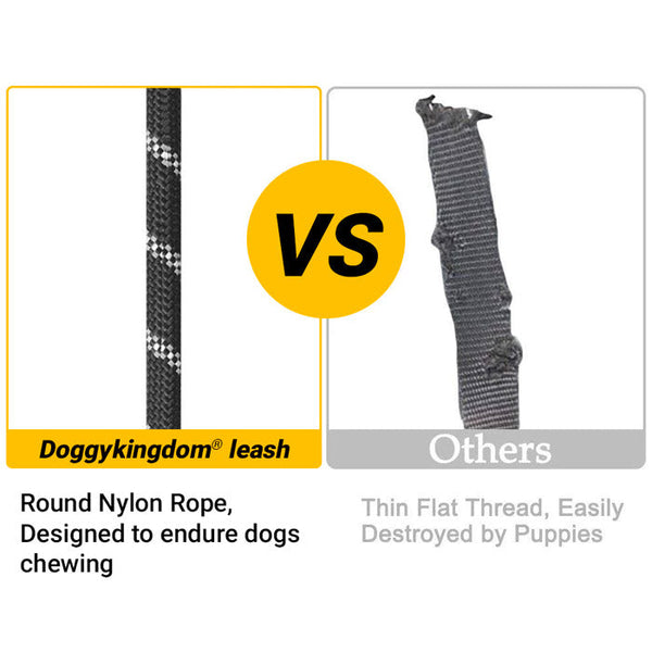 Reflective Safety Dog Leash - King & Paws