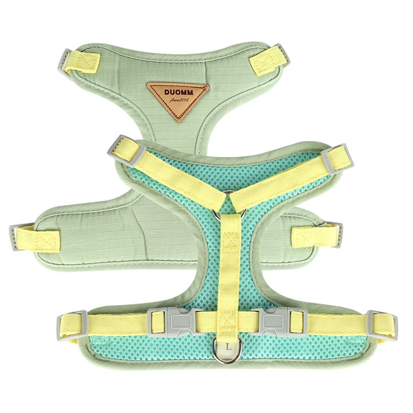 Ensemble de harnais de compagnie de animaux de compagnie confortable