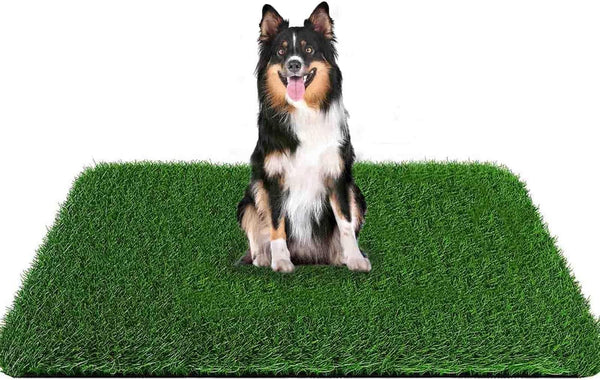 Almohadilla de hierba de entrenamiento para ir al perro