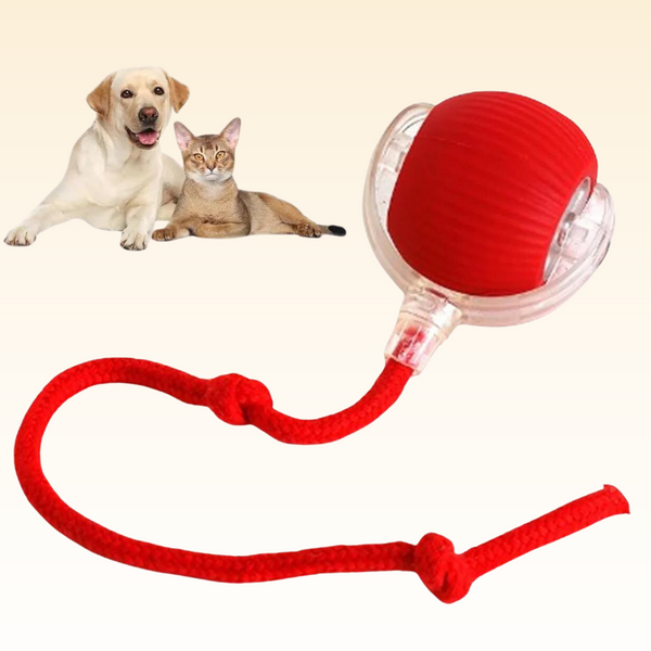 Petplay Ball: Fun for Furry Friends