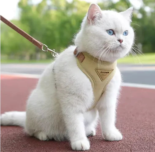 Cat Collars and Harnesses