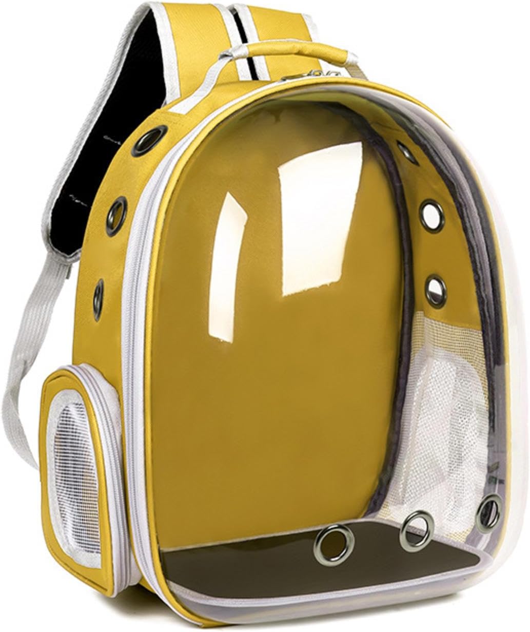 Cat Carriers and Travel