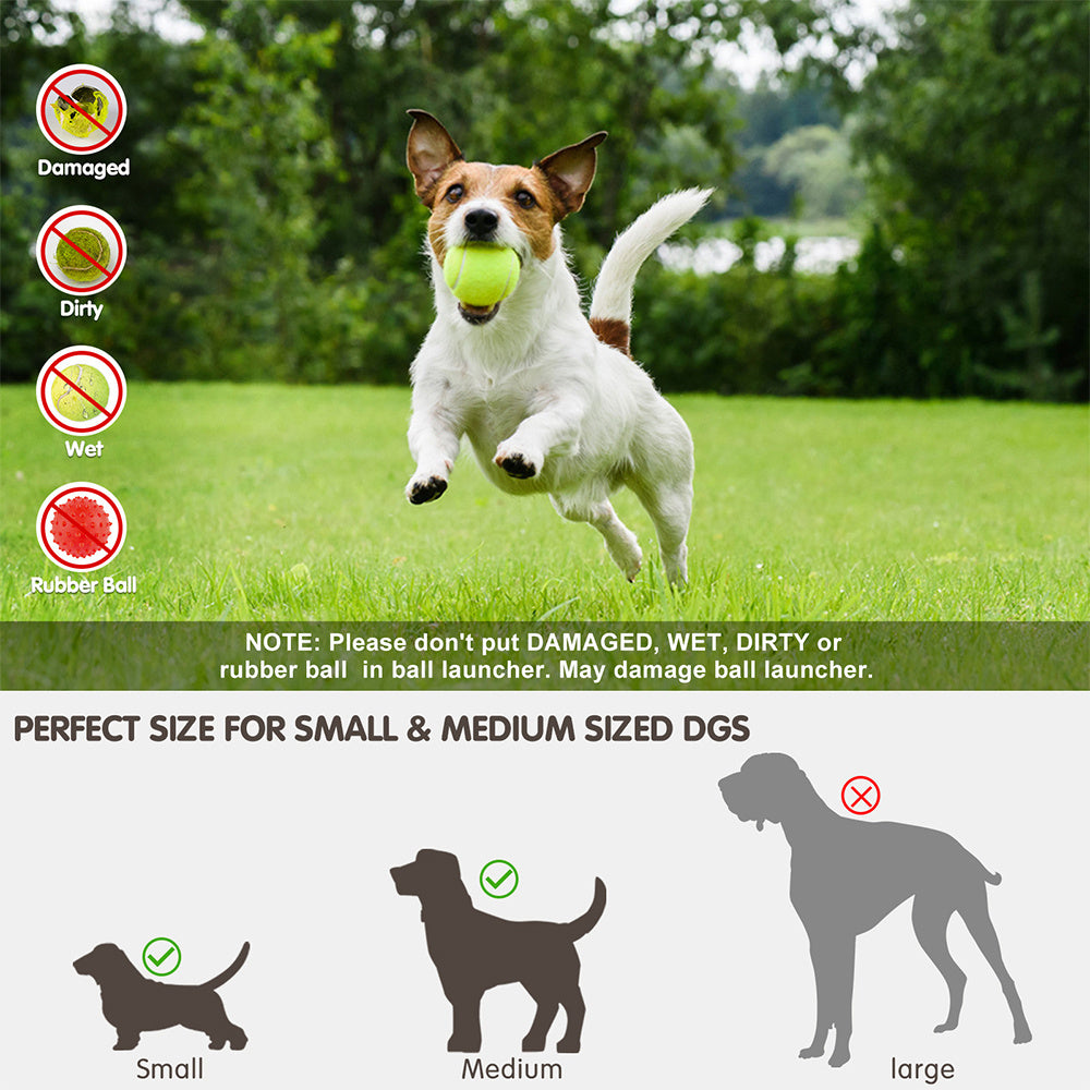 Dog Toys