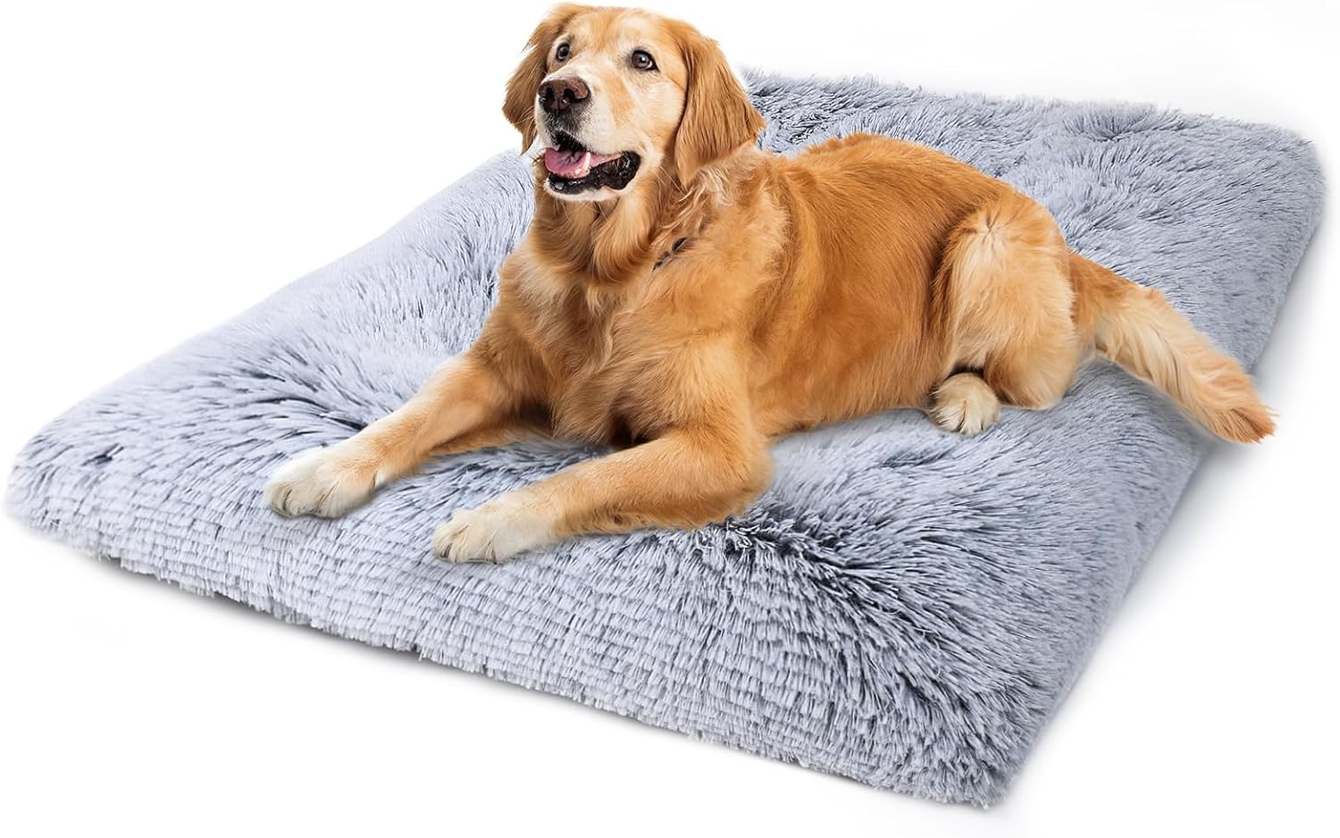 Dog Beds