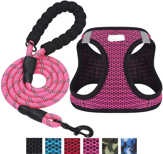 Reflective Dog Leash for Safe Night Walks - King & Paws