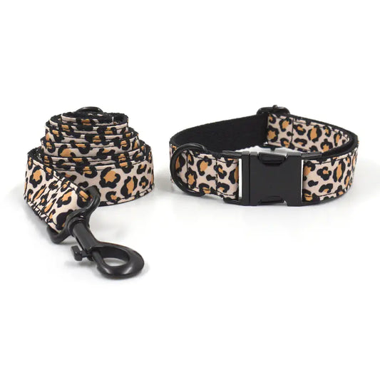 Black Buckle Collar and Leash Set for Dogs - King & Paws