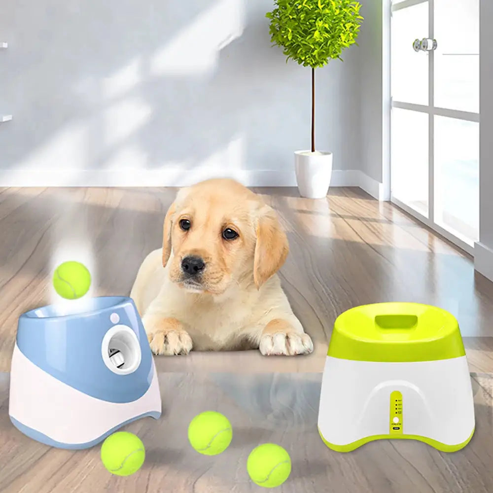 Automatic Tennis Ball Launcher - King & Paws