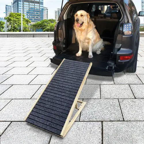 Pet Ramp For Small Dogs To Get On The Sofa Car - King & Paws