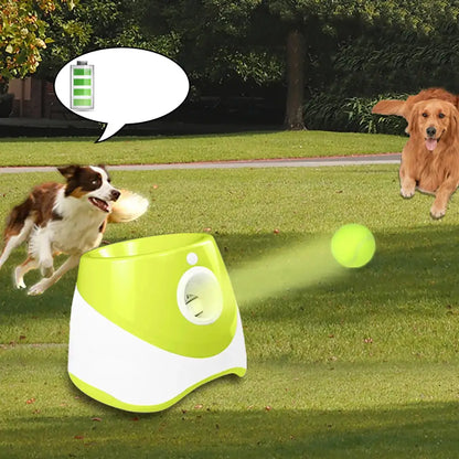 Automatic Tennis Ball Launcher - King & Paws