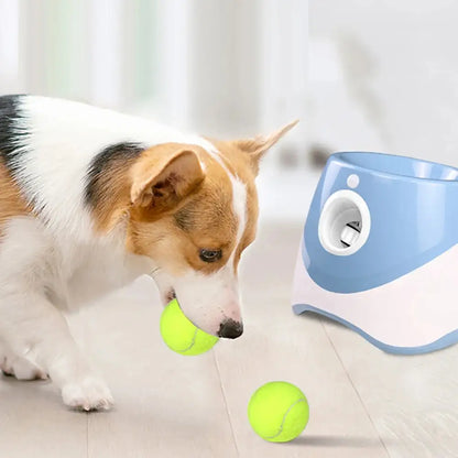 Automatic Tennis Ball Launcher - King & Paws