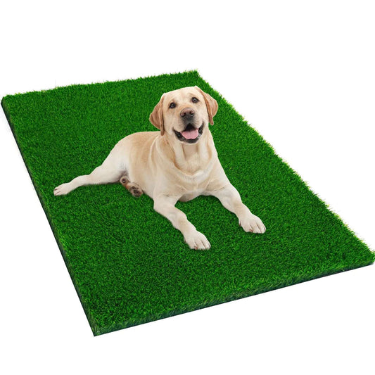 51" x 31.5" Dog Grass Pee Pad - King & Paws