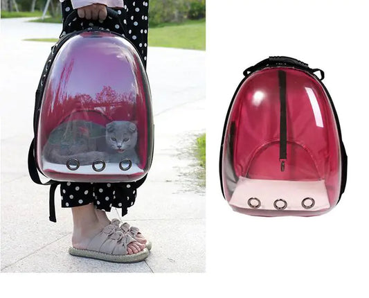 Transparent Cat Backpack and Carrier for Pets - King & Paws