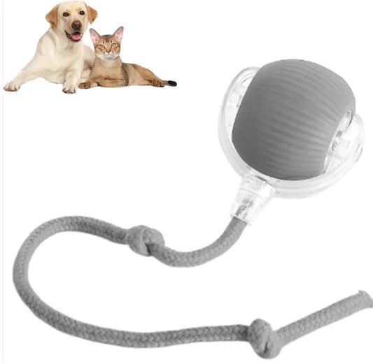 Cat/Dog Smart Ball Toy Interactive - King & Paws
