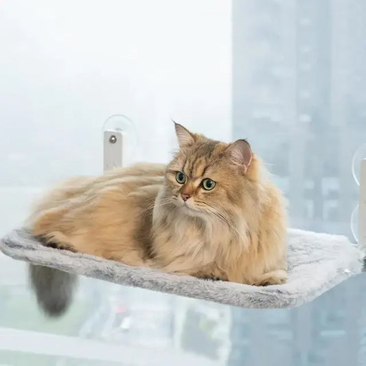 Foldable Cat Window Perch with Suction Cups - King & Paws