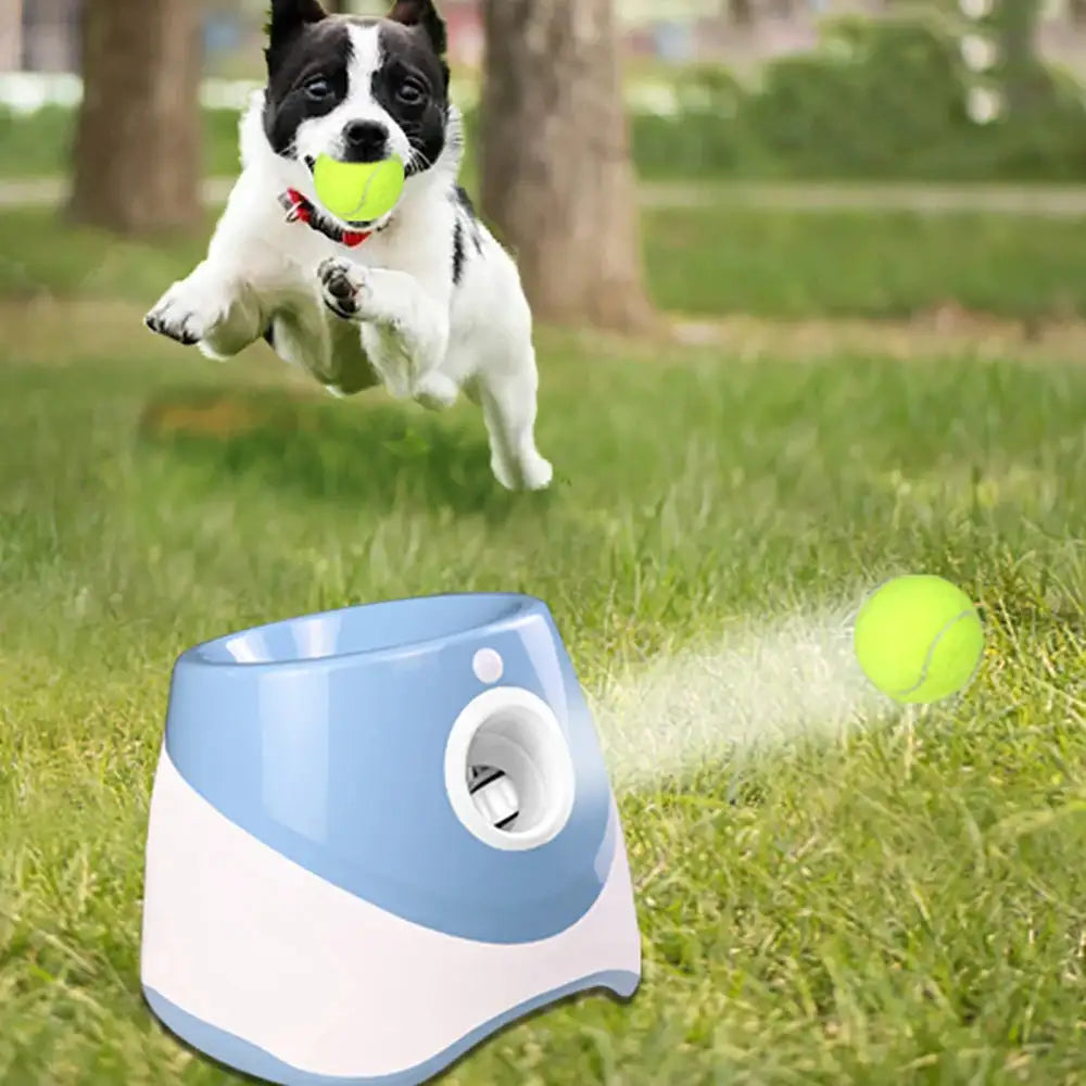 Automatic Tennis Ball Launcher - King & Paws