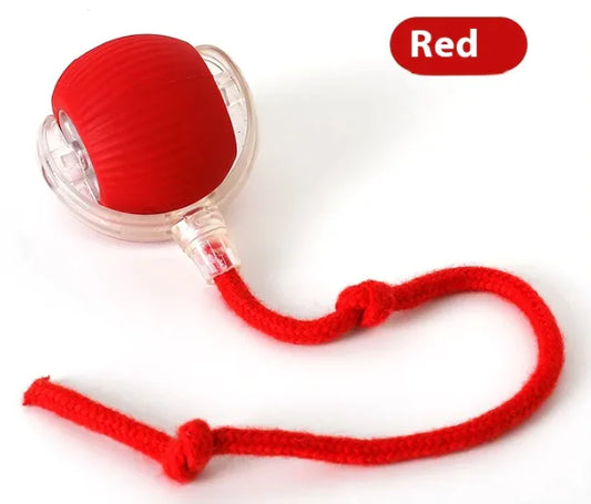 Interactive Cat Toy Ball - King & Paws
