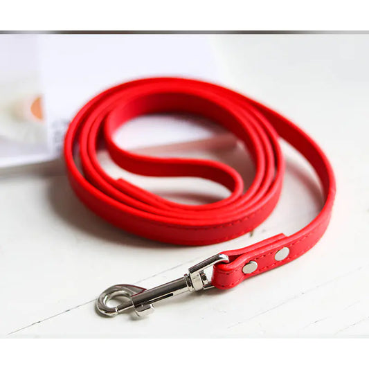Pet Leash and Collar Set for Dogs and Cats - King & Paws