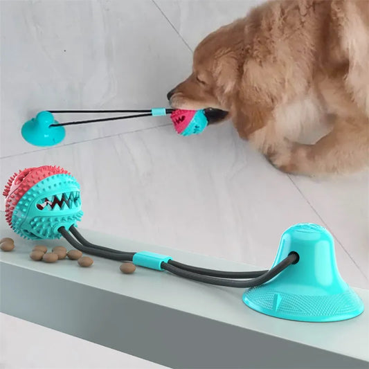 Suction Ball Interactive Dog Toy - King & Paws